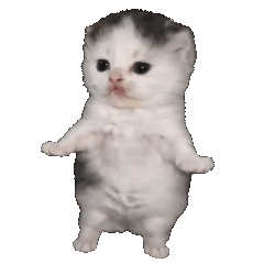 :cat: